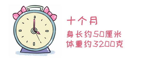 怀孕期间注意事项，胚胎最怕这些事