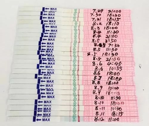 排卵试纸怎么用