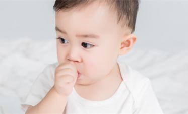 邵姓鼠宝宝取名大全2020款