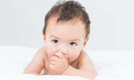 鼠年取名宜用字大全 鼠年取名宜用字大全