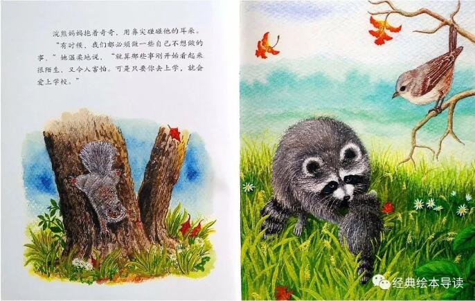 魔法亲亲